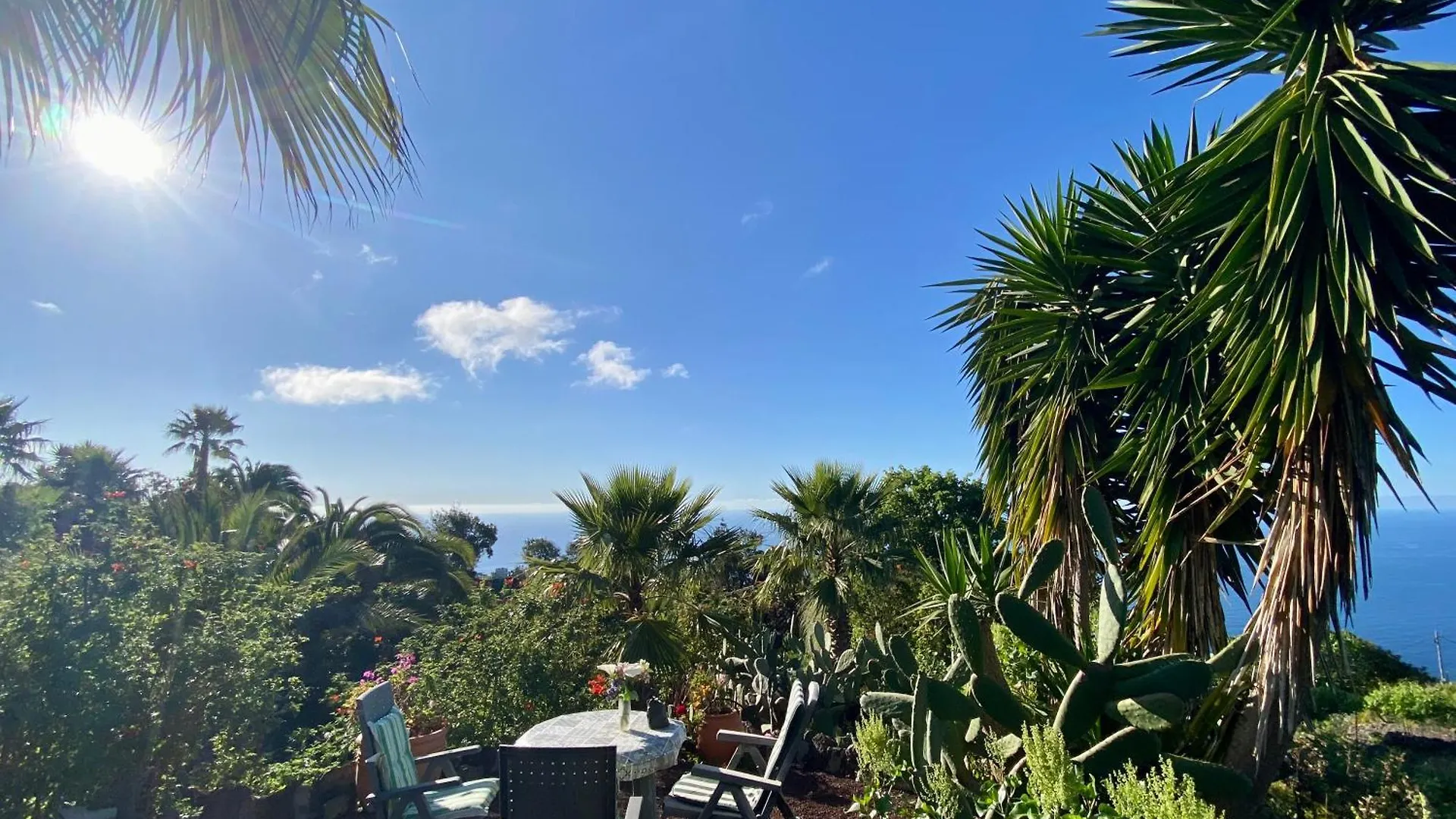 Casa vacanze Finca Tenerife - Traumblick, Tropischer Garten, Viel Platz & Ruhe Icod De Los Vinos