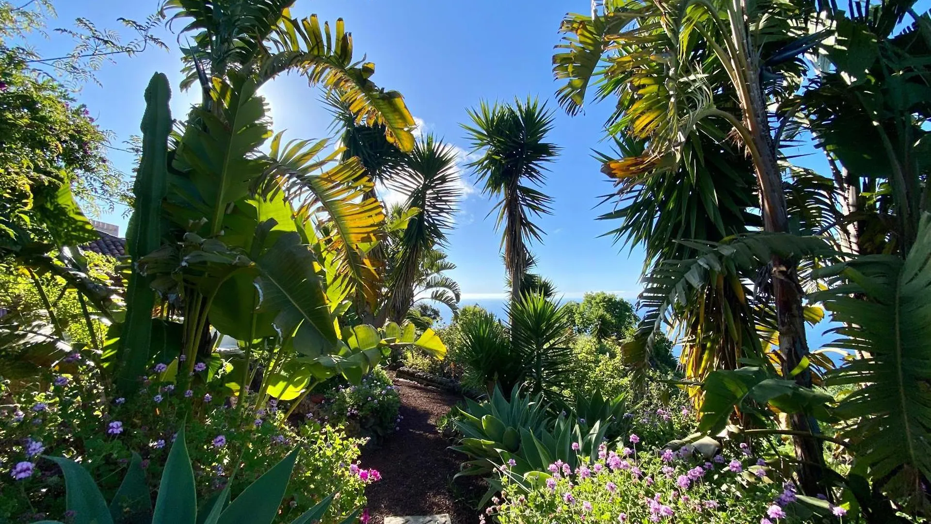 Finca Tenerife - Traumblick, Tropischer Garten, Viel Platz & Ruhe Icod De Los Vinos Spain
